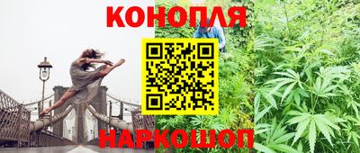 мяу мяу мука Лесосибирск