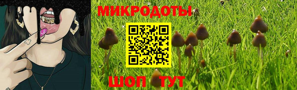 Галлюциногенные грибы Magic Shrooms Каменск-Уральский